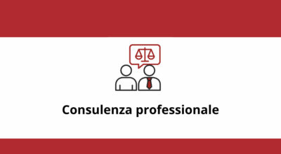 Consulenza professionale