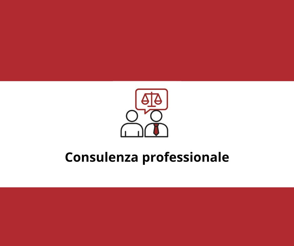 Consulenza professionale